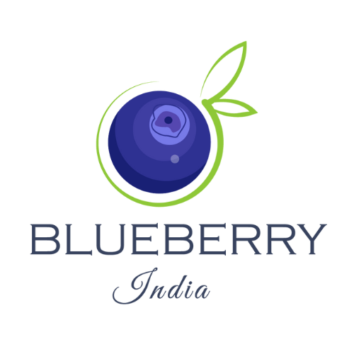 BLUEBERRY INDIA