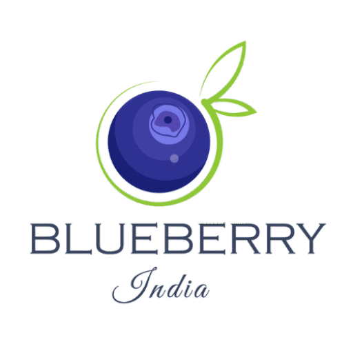 BLUEBERRY INDIA